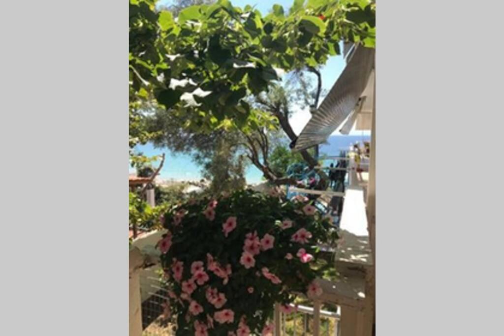 Stefani Apartment With A Sea View Terrace! نيا موذانيا الغرفة الصورة